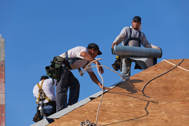 Best Roof Gutter Cleaning  in St James, MO